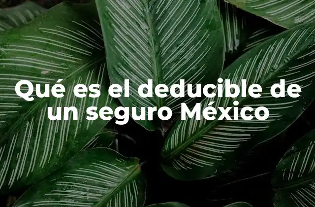 Qué es el Deducible de un Seguro México 2 ¿Cómo afecta el deducible a la prima de un seguro?