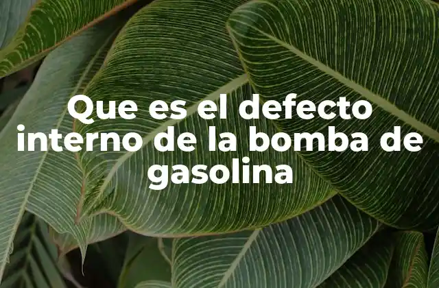 Que es el Defecto Interno de la Bomba de Gasolina