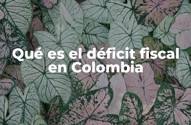 Qué es el Déficit Fiscal en Colombia