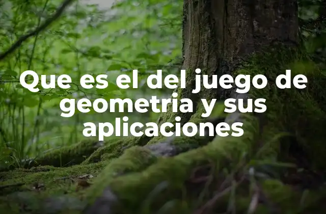 Que es el Del Juego de Geometria y Sus Aplicaciones