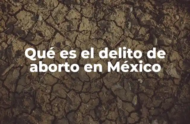 Qué es el Delito de Aborto en México