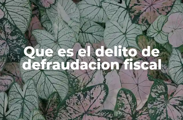 Que es el Delito de Defraudacion Fiscal