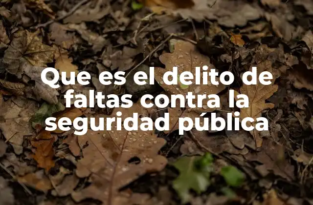 Que es el Delito de Faltas contra la Seguridad Pública