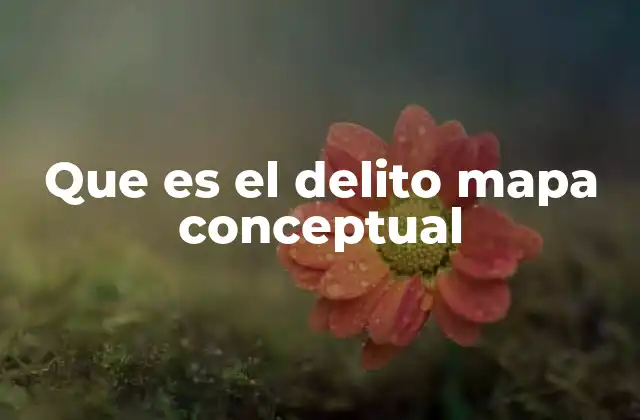Que es el Delito Mapa Conceptual
