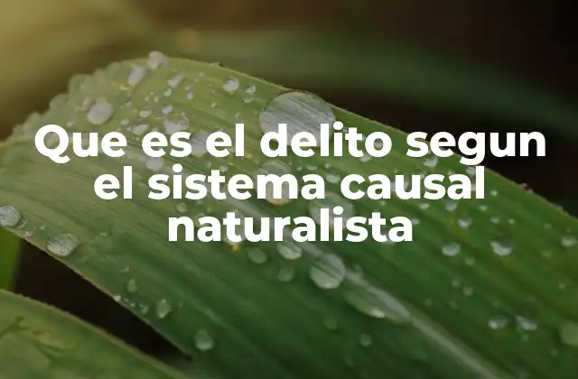 Que es el Delito Segun el Sistema Causal Naturalista