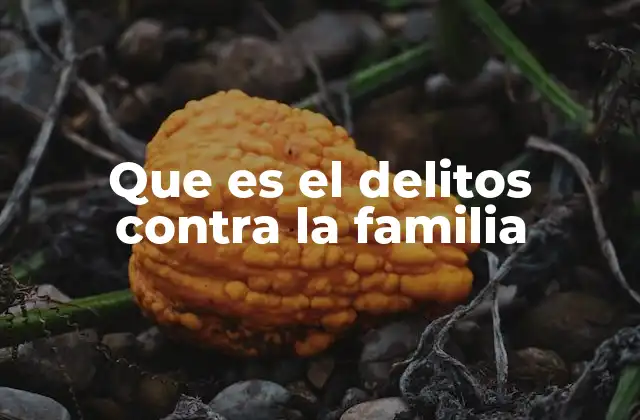 Que es el Delitos contra la Familia