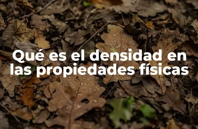 Qué es el Densidad en las Propiedades Físicas