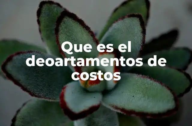 Que es el Deoartamentos de Costos