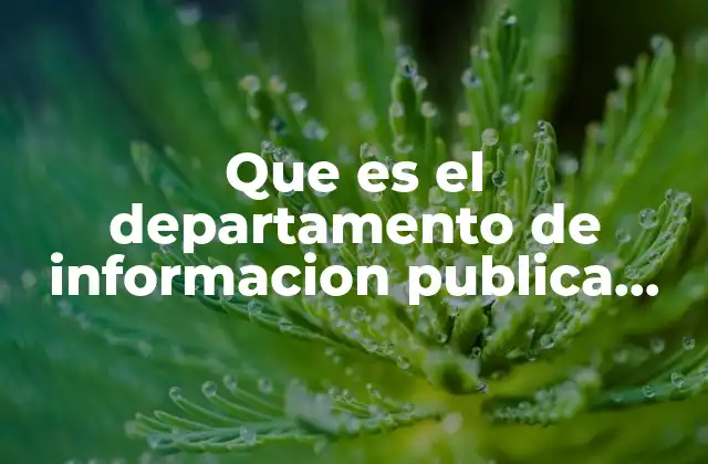 Que es el Departamento de Informacion Publica Definicion