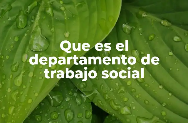 Que es el Departamento de Trabajo Social