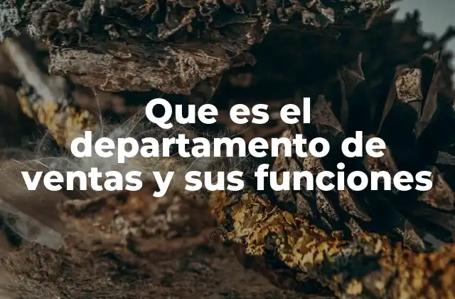 El rol del equipo encargado de generar ingresos en una organización