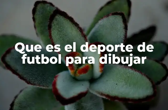 Que es el Deporte de Futbol para Dibujar