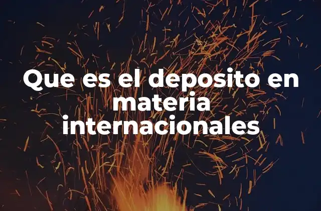 Que es el Deposito en Materia Internacionales