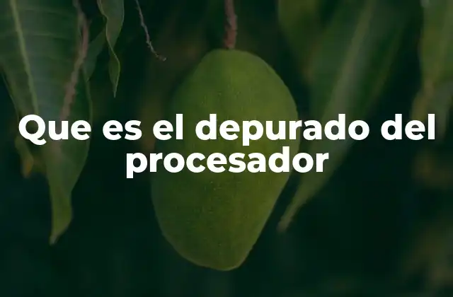 Que es el Depurado Del Procesador