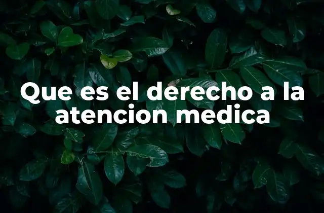 Que es el Derecho a la Atencion Medica