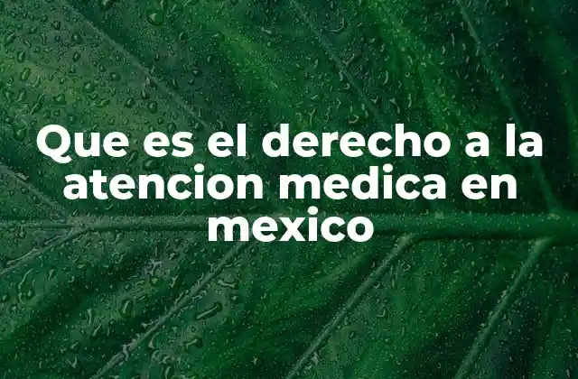 Que es el Derecho a la Atencion Medica en Mexico