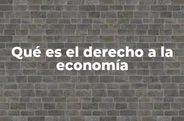 Qué es el Derecho a la Economía