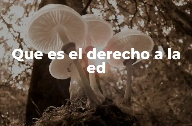 Que es el Derecho a la Ed