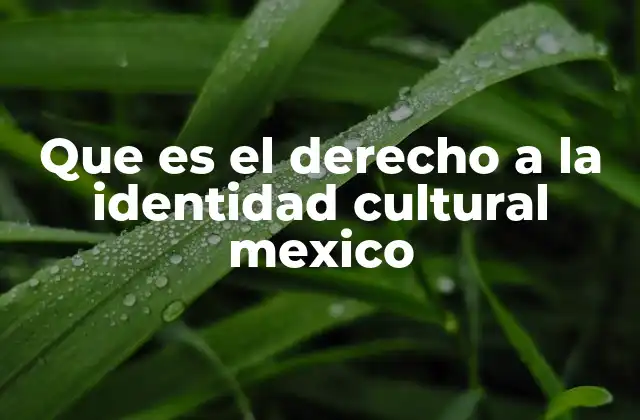 Que es el Derecho a la Identidad Cultural Mexico