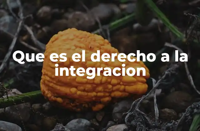 Que es el Derecho a la Integracion