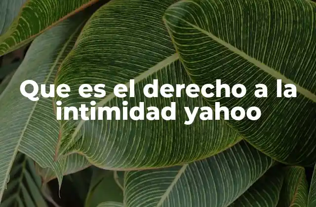 Que es el Derecho a la Intimidad Yahoo