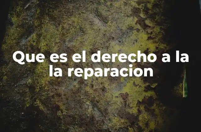 Que es el Derecho a la la Reparacion