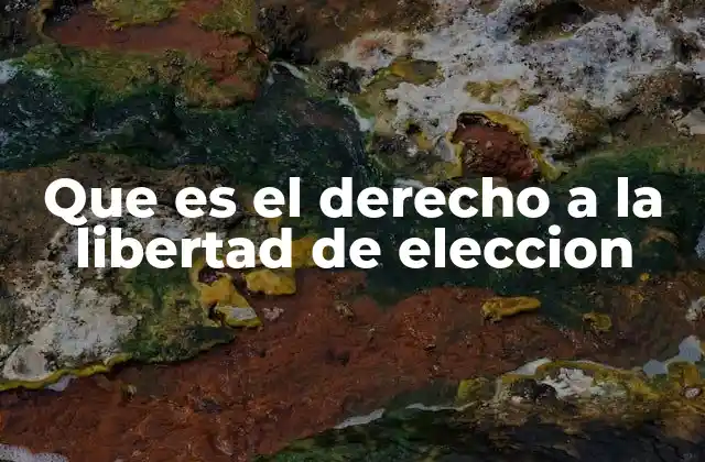 Que es el Derecho a la Libertad de Eleccion 2 La base filosófica y legal de la libertad de elección
