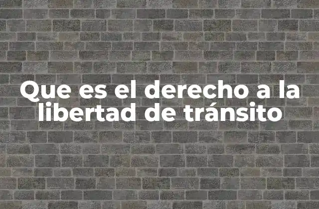 Que es el Derecho a la Libertad de Tránsito