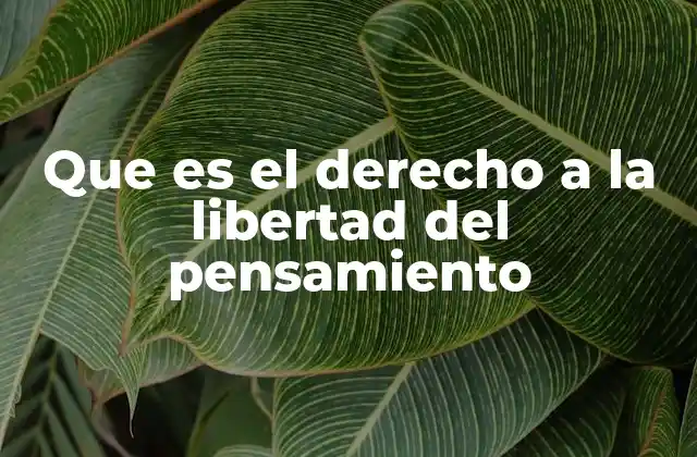 Que es el Derecho a la Libertad Del Pensamiento