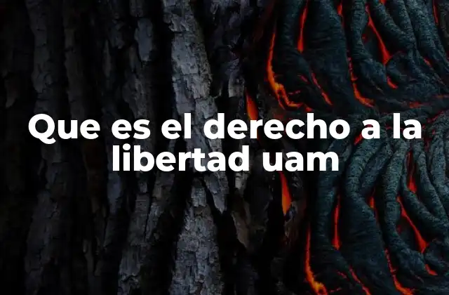 Que es el Derecho a la Libertad Uam