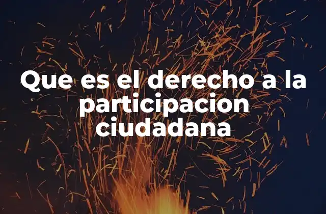 Que es el Derecho a la Participacion Ciudadana