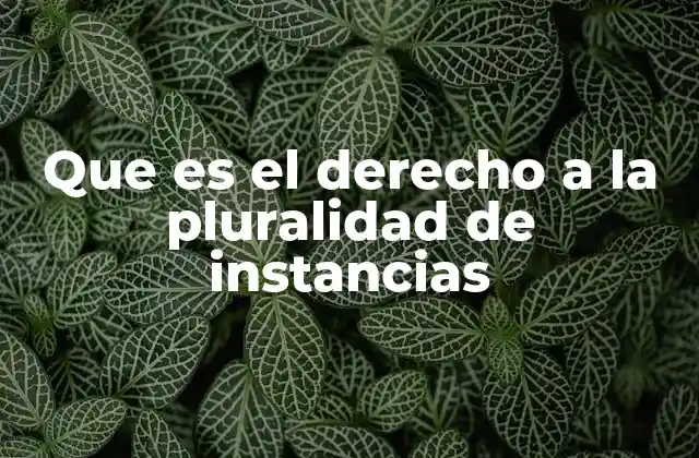 Que es el Derecho a la Pluralidad de Instancias