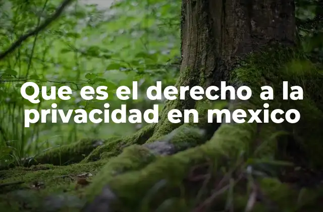 La importancia de la privacidad en la sociedad moderna