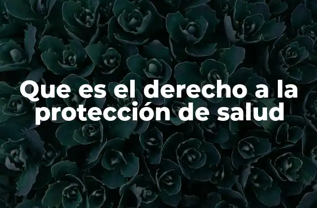 Que es el Derecho a la Protección de Salud