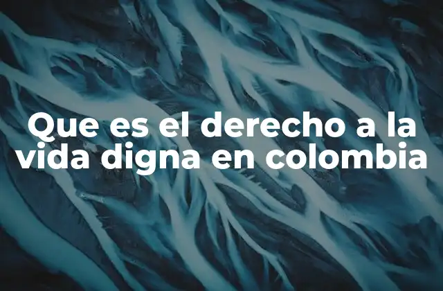 Que es el Derecho a la Vida Digna en Colombia