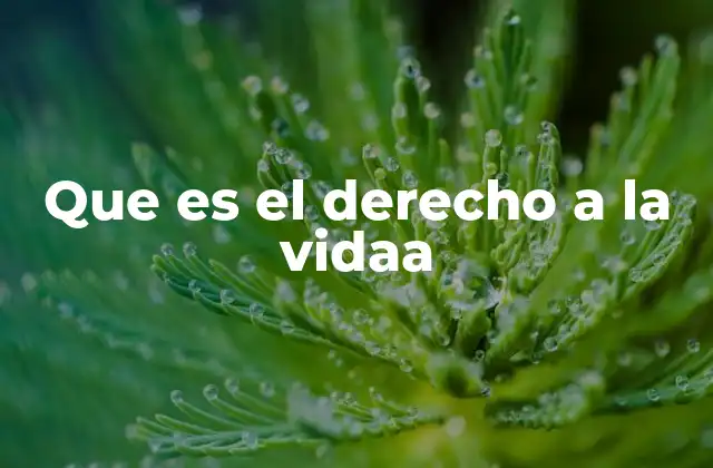 Que es el Derecho a la Vidaa