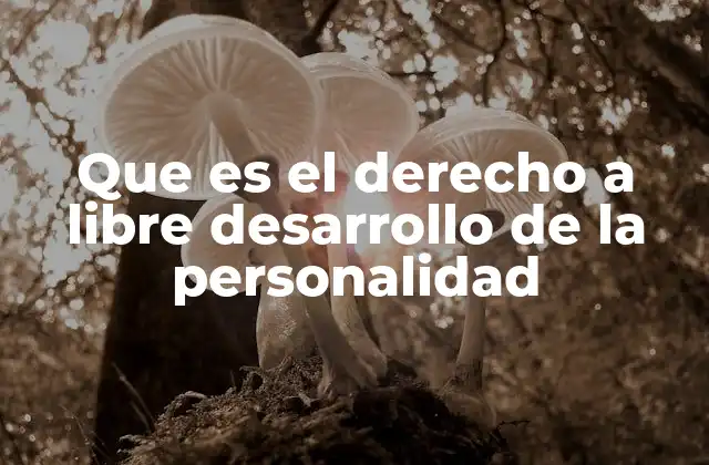 Que es el Derecho a Libre Desarrollo de la Personalidad