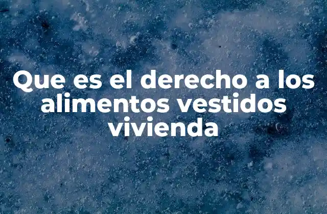 Que es el Derecho a los Alimentos Vestidos Vivienda