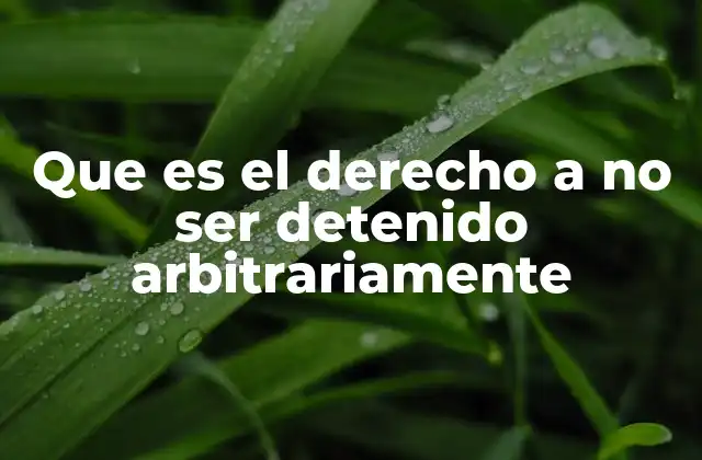 La importancia de la protección contra detenciones injustificadas