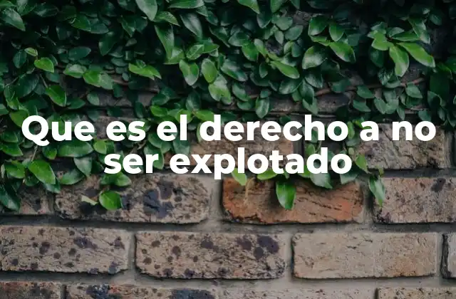 Que es el Derecho a No Ser Explotado