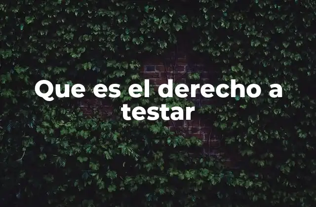 Que es el Derecho a Testar