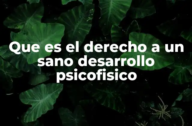 Que es el Derecho a un Sano Desarrollo Psicofisico
