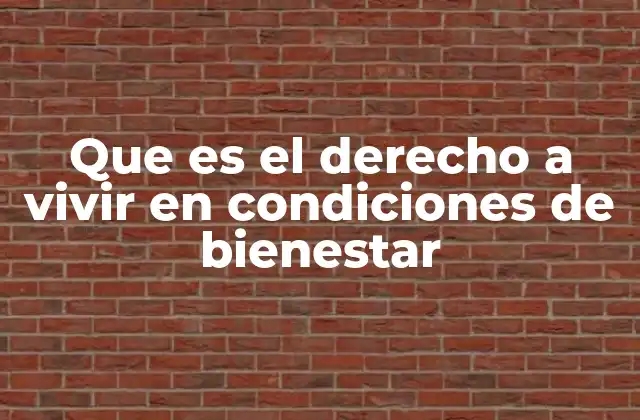 Que es el Derecho a Vivir en Condiciones de Bienestar