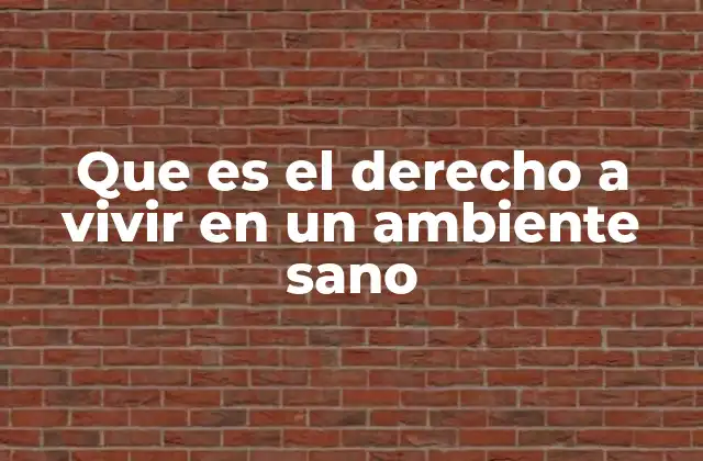 Que es el Derecho a Vivir en un Ambiente Sano