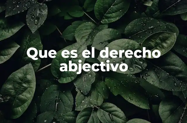 Las bases del derecho abjectivo en el sistema legal