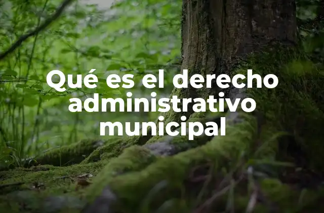 Qué es el Derecho Administrativo Municipal