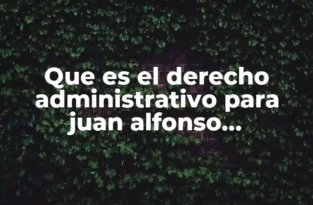 Que es el Derecho Administrativo para Juan Alfonso Santamaria Pastor