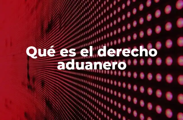 Qué es el Derecho Aduanero