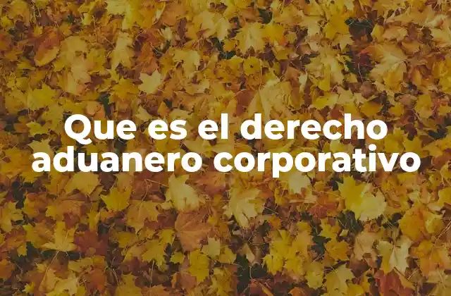 Que es el Derecho Aduanero Corporativo