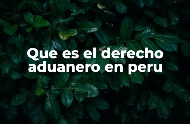 Que es el Derecho Aduanero en Peru